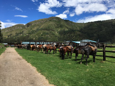 Colombia-Andean-El Triunfo Natural Reserve Ride